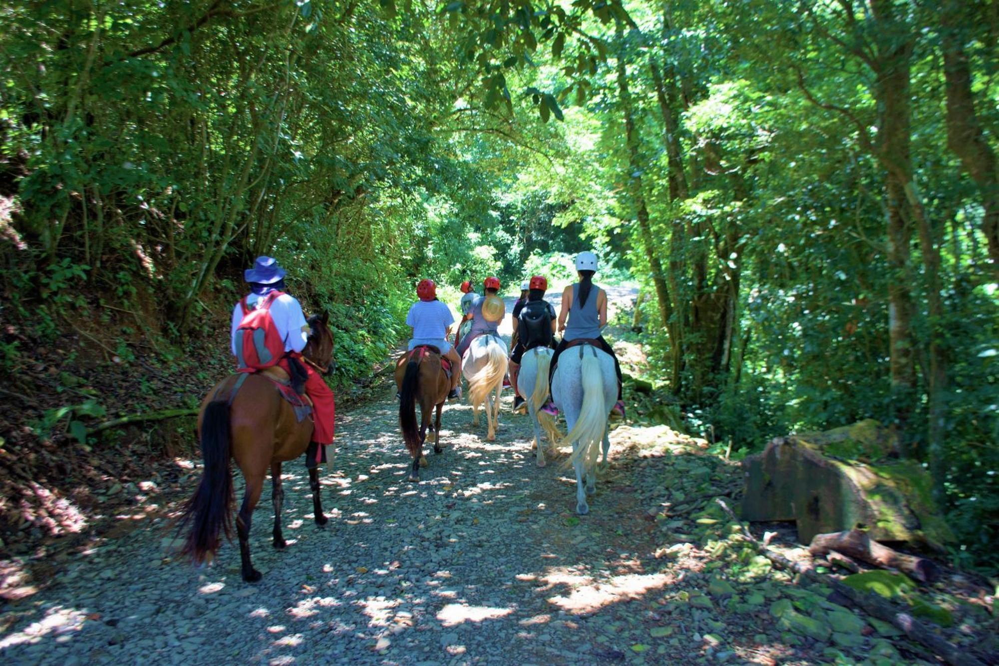 Adventure Park & Hotel Vista Golfo Tajo Alto Exterior photo